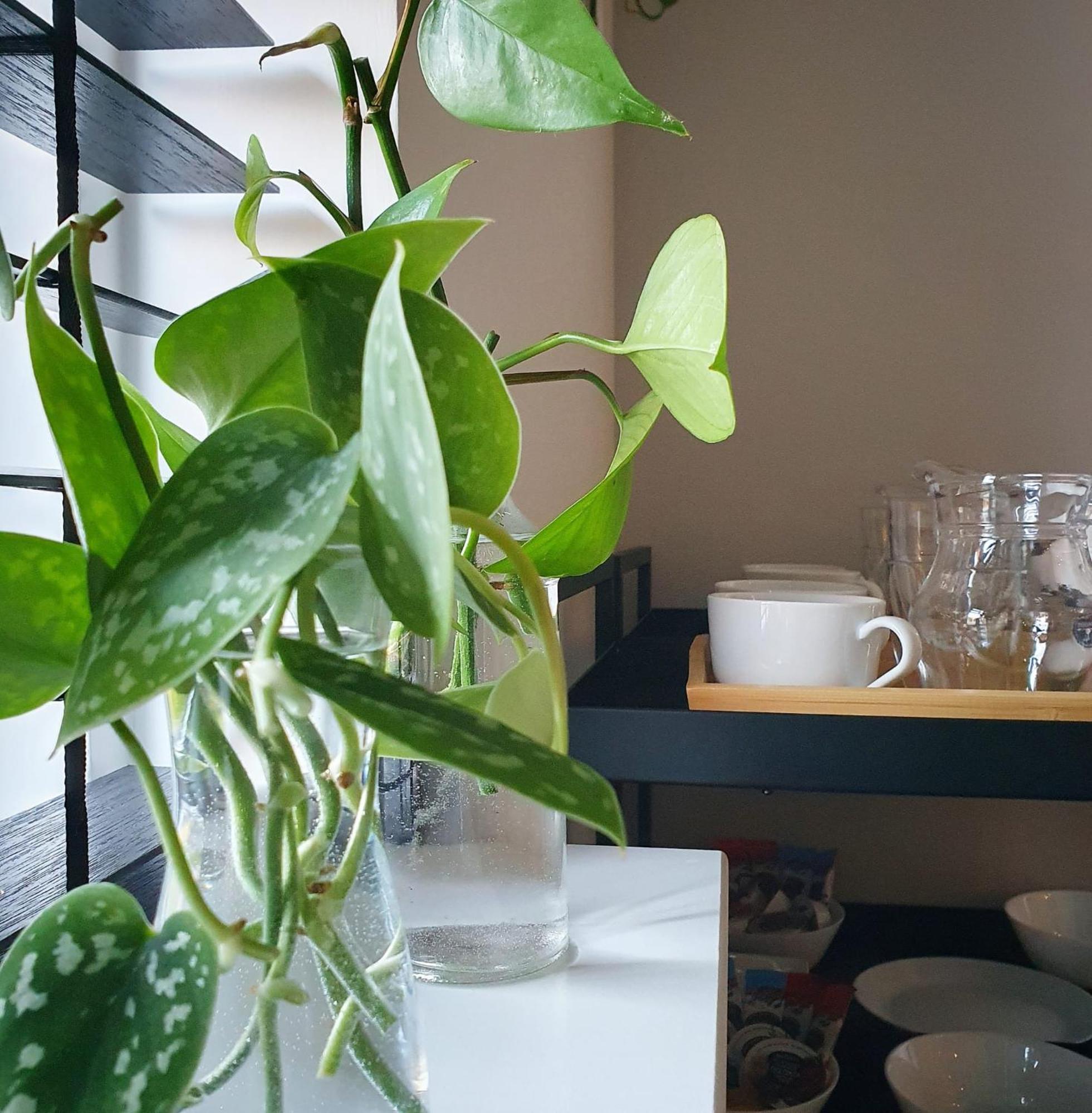 Bed And Breakfast 'Wij En De Zande' - Kamer Met Vide Kamperveen エクステリア 写真